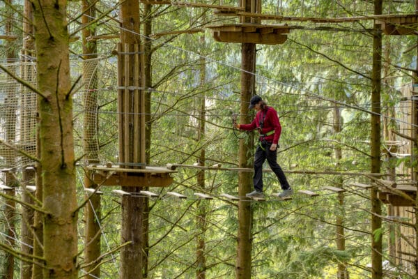 CUMBRIATOURISM 240608 PaulMitchell WhinlatterGoApe 130