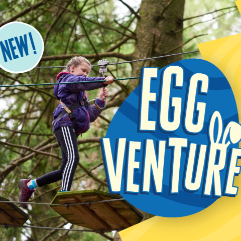 Eggventure 2026 Cover